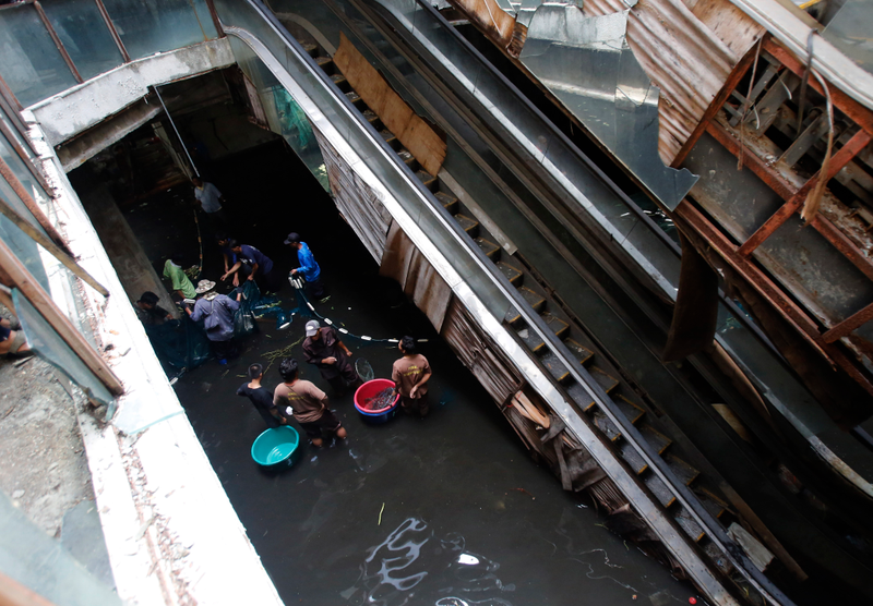 Illustration for article titled Thousands of Fish To Be Freed From Abandoned Mall Fish-Hell
